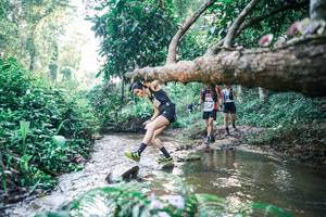 BIB: 
                            <button type="button" onclick="openModal(25433226)" class="btn btn-primary btn-sm float-right btn-popup" data-toggle="modal" data-target=".modal-high-quality">
                        <i class="fas fa-shopping-cart"></i> Add to Cart
                    </button>
                                            <button type="button" onclick="isThisMe(25433226, true)" class="btn btn-success btn-sm float-right btn-popup btn-isme hidden" data-toggle="tooltip" data-placement="bottom" title="นี่คือรูปของคุณใช่ไหม คลิกที่นี่เพื่อเอาเข้าอัลบั้ม">
                        <i class="fas fa-plus"></i> Add to album
                    </button>
                    <button type="button" onclick="isThisMe(25433226, false)" class="btn btn-warning btn-sm float-right btn-popup btn-isnotme hidden">
                        <i class="fas fa-ban"></i> Remove from album
                    </button>